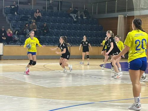 Jindřichohradecká tvrz dobyta